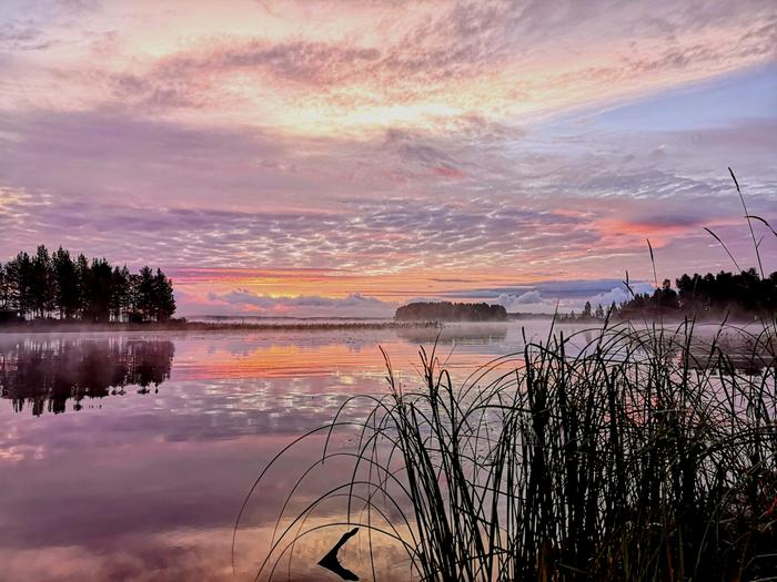 Syyskuinen aamu hallayön jälkeen.