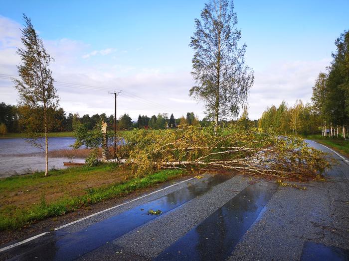 Varpu-myrsky kaatoi puun Juuassa Pohjois-Karjalassa.