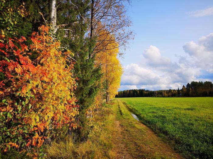 Syyskuun ruskaa Juuassa.