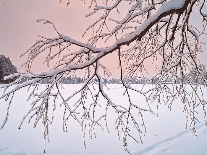 Pakkasta Joulukuinen pakkaspäivä.