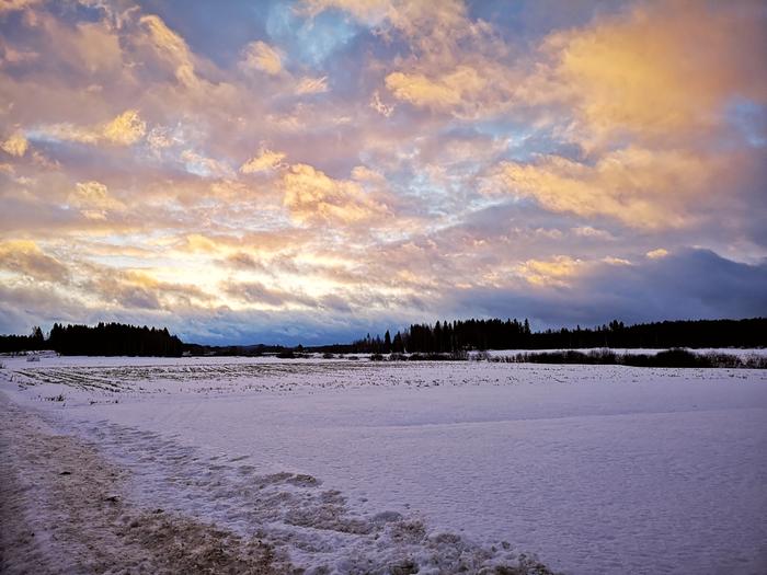 Talvisia pilvenriekaleita Pohjois-Karjalassa lumet olivat paikoin vähissä tammikuussa 2025.