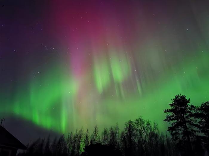 Revontulet Revontulet loimusivat Rääkkylässä maaliskuussa 2025.