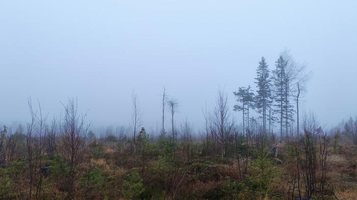 Marraskuun harmaus väistyy maanantaiksi suuresta osasta maata.