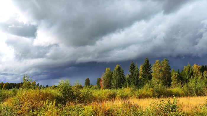 Viikonloppuna syksyisempi tuulahdus käväisee koko maassa.