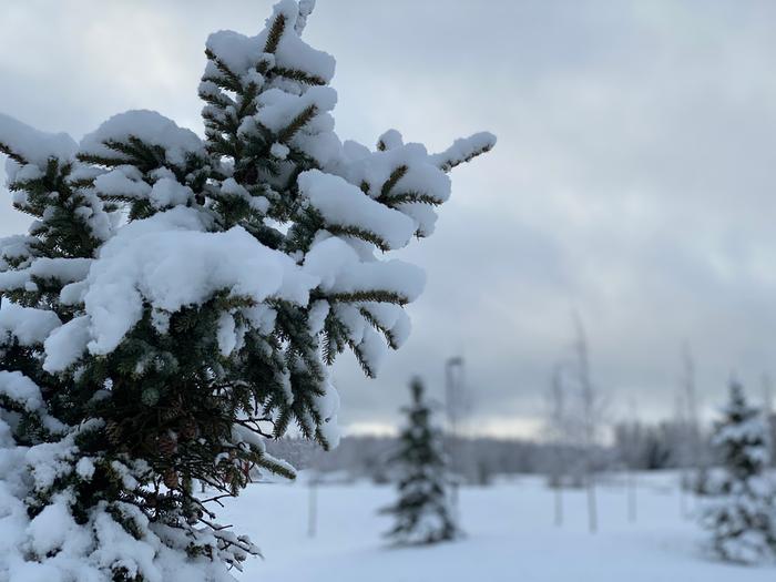 Lunta Tuusulassa huhtikuussa 2020.