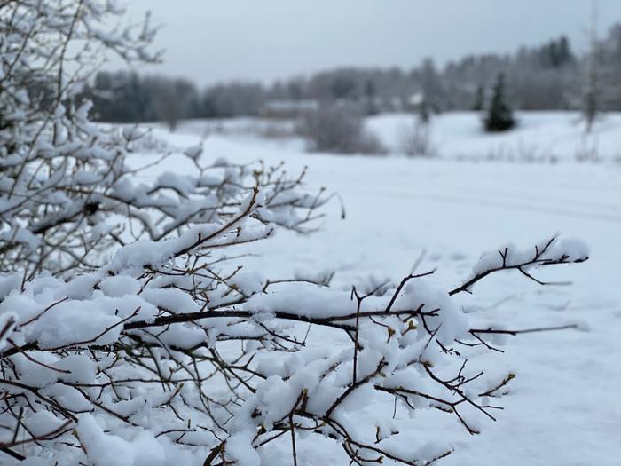 Lunta Tuusulassa huhtikuussa 2020.