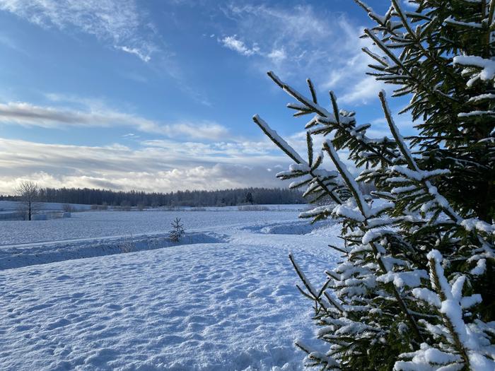 Lunta Tuusulassa huhtikuussa 2020.