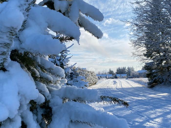 Tuusulassa herättiin lumiseen huhtikuun aamuun 3. huhtikuuta 2020.