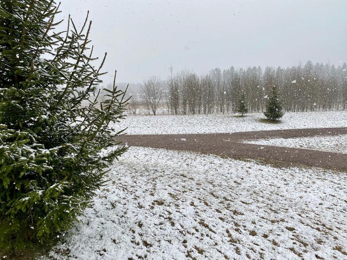 Lumikuurot toivat lunta Tuusulaan 14. huhtikuuta 2020.