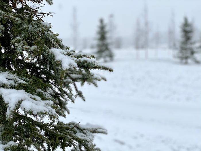 Tuusulassa satoi lunta 15. huhtikuuta 2020.