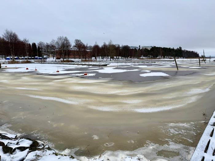 Nollakeli Vaasassa Lauhaa ja harmaata on suurelta osin myös alkavalla viikolla.