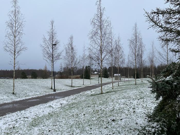 Lunta Tuusulassa Tuusulassa oli vähän lunta maassa 1. marraskuuta 2024.