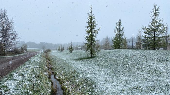 Lumisateita Tuusulassa Lumisateita Tuusulassa toukokuussa 2020.