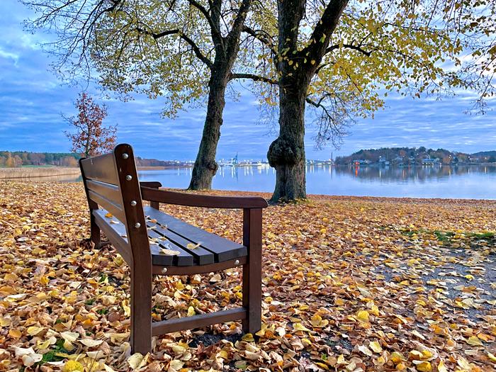 Lokakuun lopun värejä Lokakuun lopun värejä Turussa.