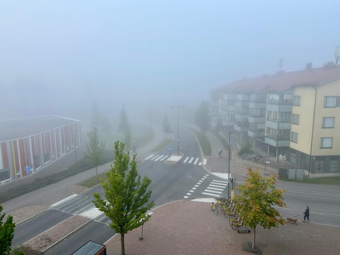 Sumua Sakea sumu heikentää näkyvyyttä.