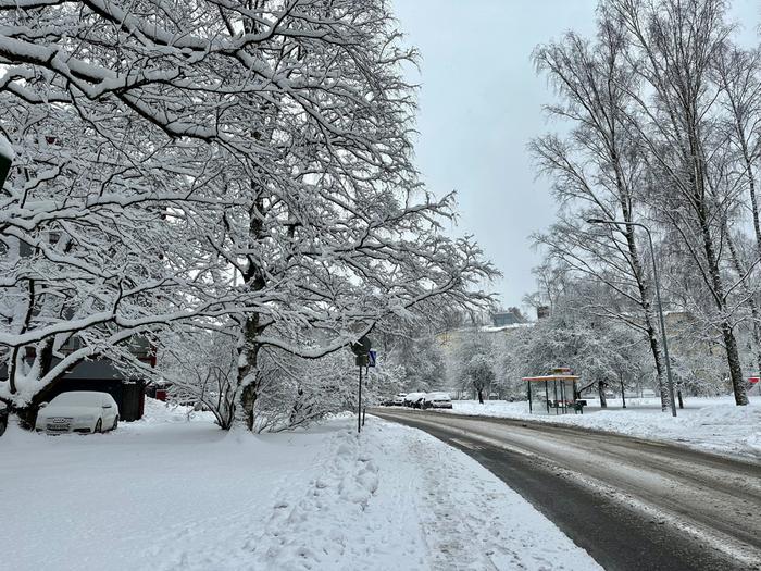 Puut saivat pääkaupunkiseudullakin viikonlopun lumisateissa valkean kuorrutteen.