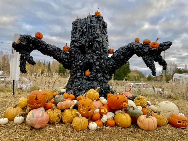 Halloween-koristelua Halikossa.