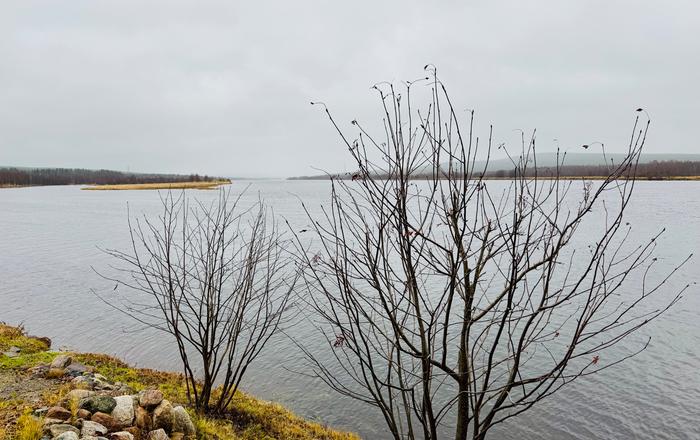 Harmaa ja ajoittain sateinen säätyyppi jatkuu. Harmaa ja ajoittain sateinen säätyyppi jatkuu.