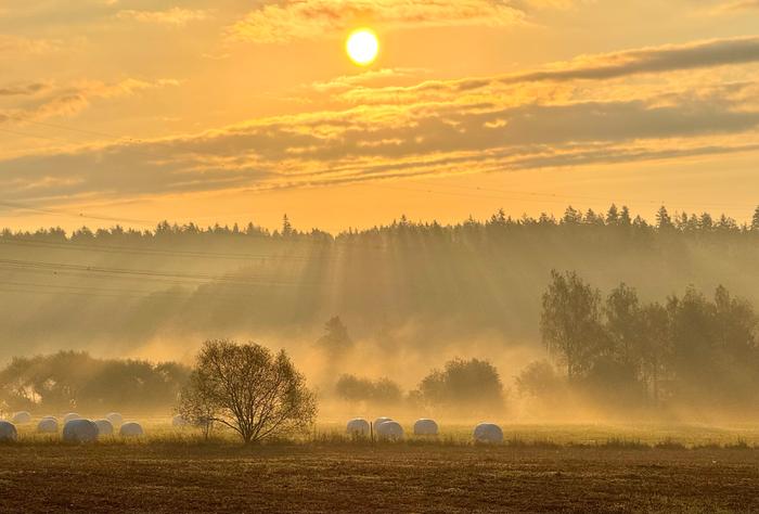 Syyskuun aamu Valoa ja usvaa auringonnousun aikaan.
