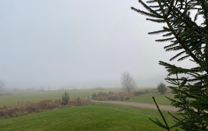 Sumua Marraskuista sumua.