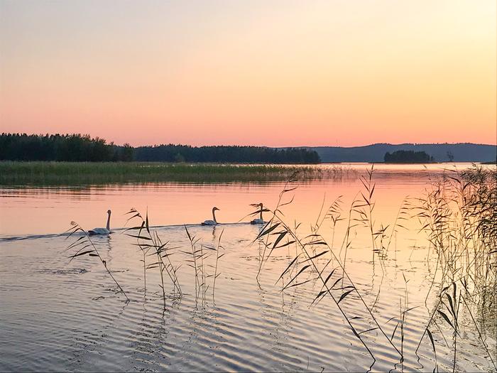 Kesäilta Päijänteellä