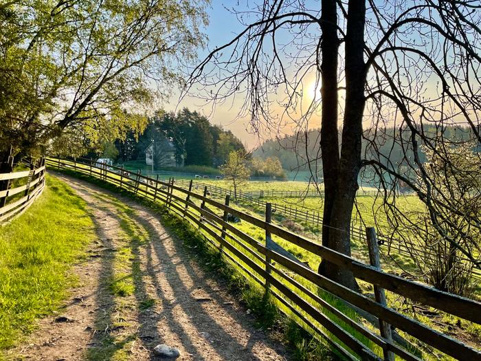 Aamuaurinko valaisee Kylämäellä.