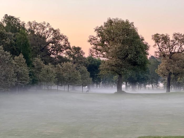 Kesä Kesäisen aamuyön värejä Turussa.