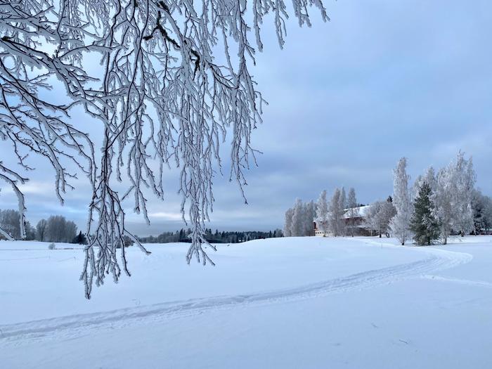 Pakkaspäivä Tuusulassa.