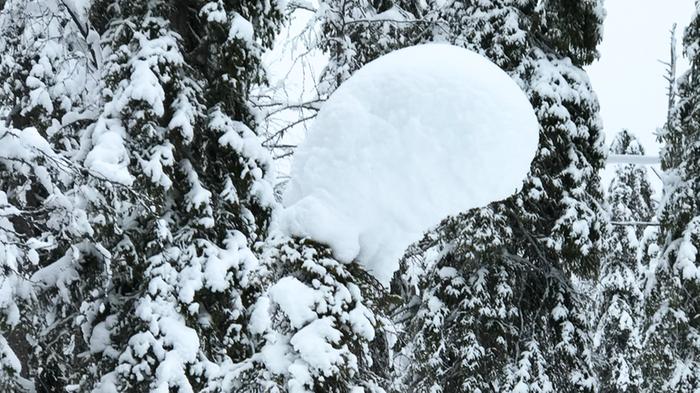Tykkylunta Luostolla Tykkylunta Luostolla