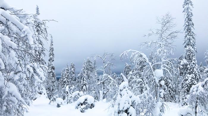 Lunta Lapissa Lunta Lapissa