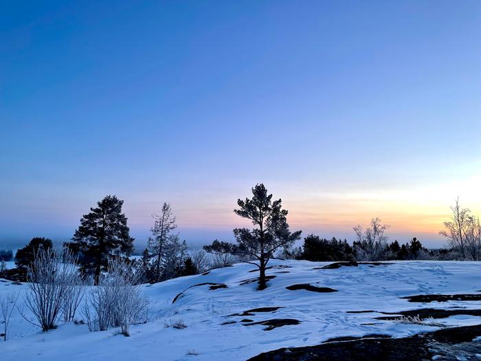 Maaliskuun aamu Maaliskuinen pakkasaamu Liedossa.