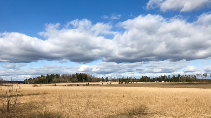 Kaunis kevätpäivä