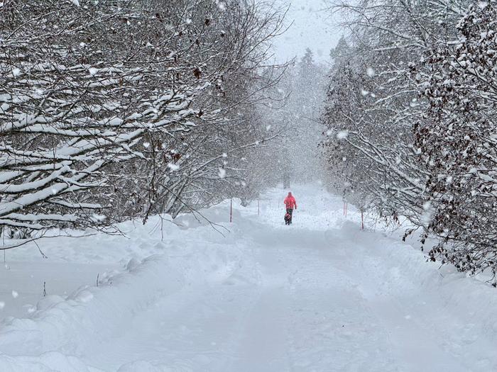 Lumipyry Lumipyry iski Turkuun tammikuussa 2024.