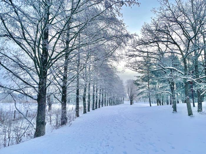 Luminen maisema Luminen marraskuun maisema Turussa.