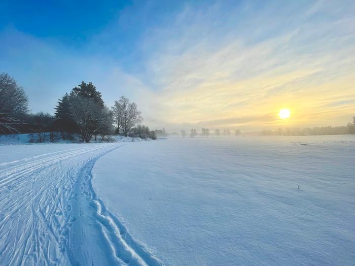 Helmikuun aamu Helmikuinen talviaamu Turussa.