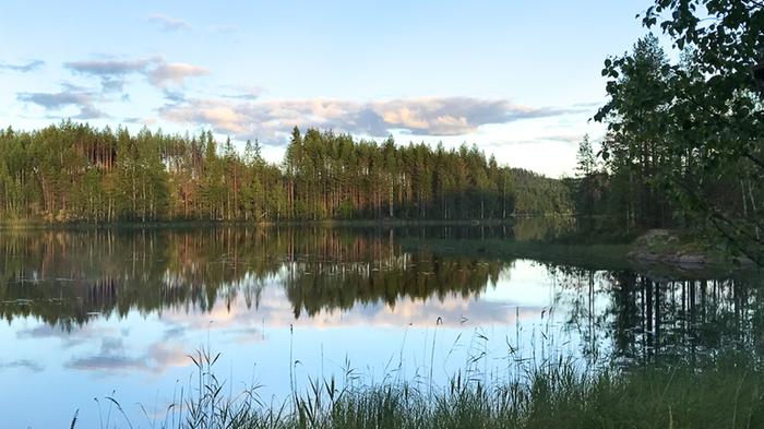 Peilityyni kesäpäivä Saimaalla