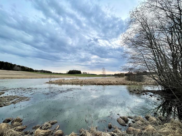 Huhtikuun aamu Pilvinen huhtikuun aamu Turussa.
