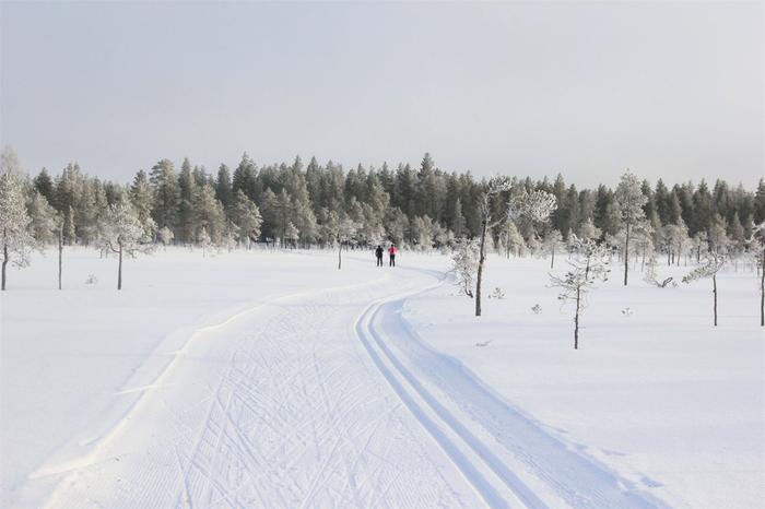 Hiihtäjiä helmikuun hangilla Vaalassa.