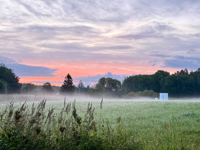Elokuun aamun sumua.