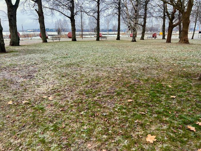 Lumetonta Vaasassa 4.12.2022 Vaasassa oli joulukuun alussa 2022 maa lumeton.