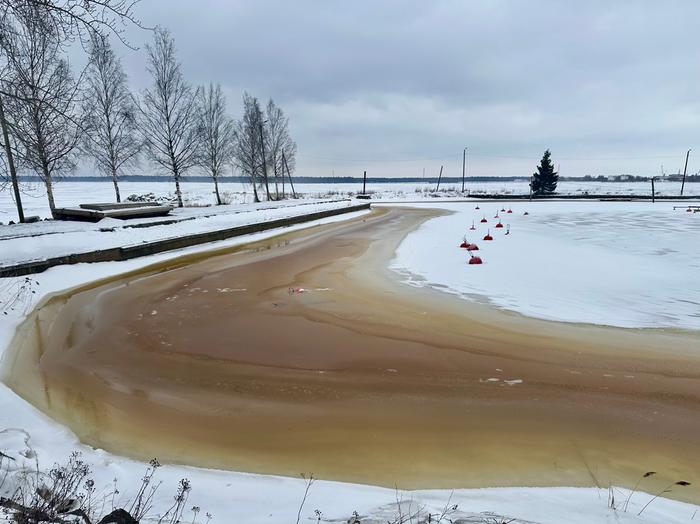 Helmikuun lopussa sää oli laajalti lauhaa ja harmaata.