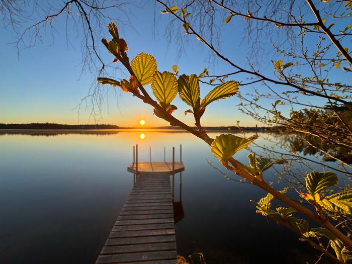 Toukokuinen auringonnousu