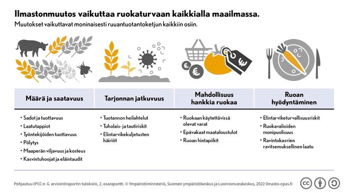 IPCC:n raportti Ilmastonmuutos vaikuttaa ruokaturvaan.