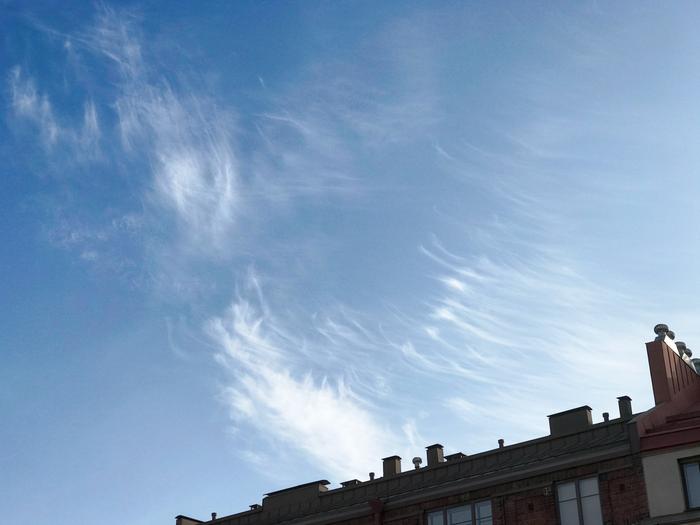 Kuvassa Cirrus uncinus -pilviä sekä Cirrus fibratus -pilviä. Cirrus-pilvi on yläpilvi.