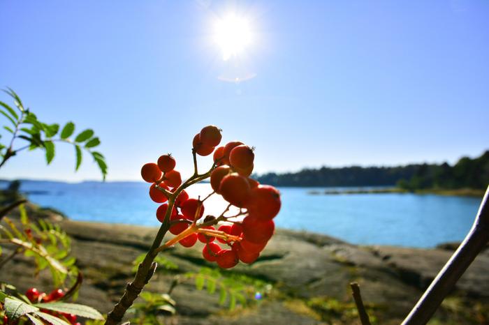Aurinkoa Intiaanikesällä tarkoitetaan kesäsäiden paluuta termisen syksyn jo alettua.