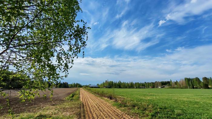 Toukokuinen päivä Itäisessä Suomessa mitattiin hellelukemia sekä tiistaina keskiviikkona. Keskiviikkona 20.5. +30 asteen raja ylittyi Pohjois-Karjalassa kahdella havaintoasemalla.