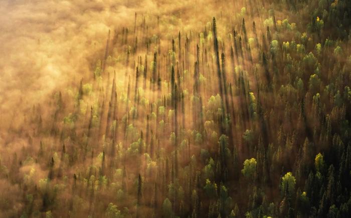 Droonin lennättäminen sumuisten metsien yllä voi tuoda upeita kuvia.