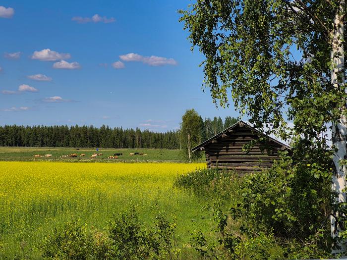 Hellepäivä maaseudulla.