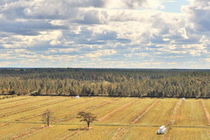 Syksyinen sää hiipii jo elo-syyskuun vaihteessa Pohjois-Suomeen.