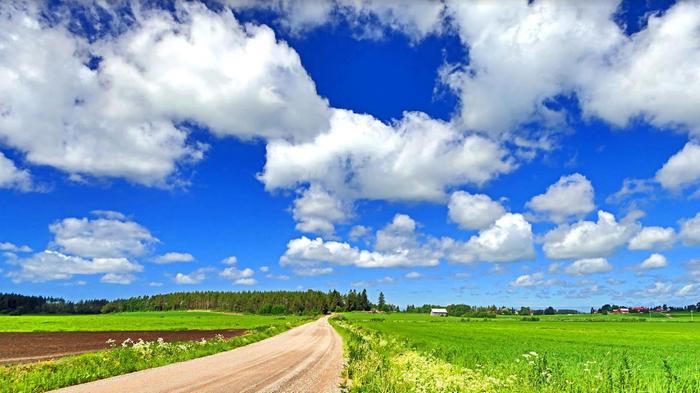 Kumpupilviä kesäisenä päivänä.